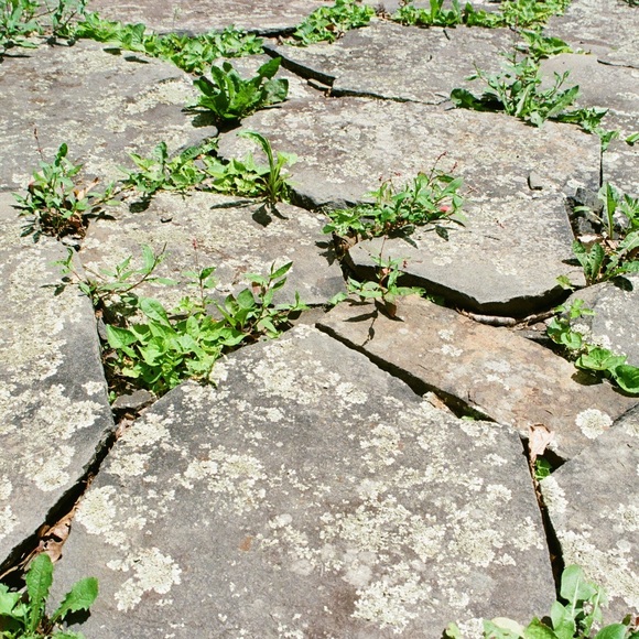 Meet your Posher, Louise - Picture 1 of 1